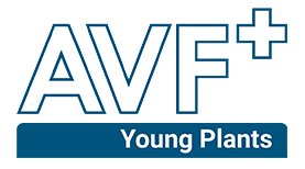 AVF+ Young Plants Logo website