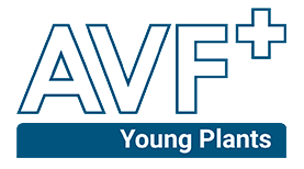 AVF+ Young Plants Logo website AVF+ Young Plants Logo website