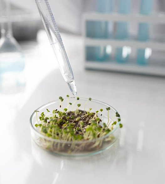BioTech - close-up-hand-watering-plants - 526x588