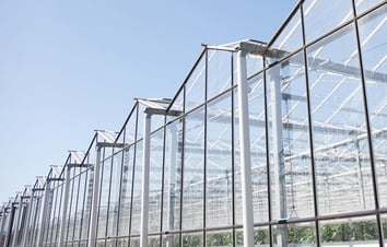 Greenhouse