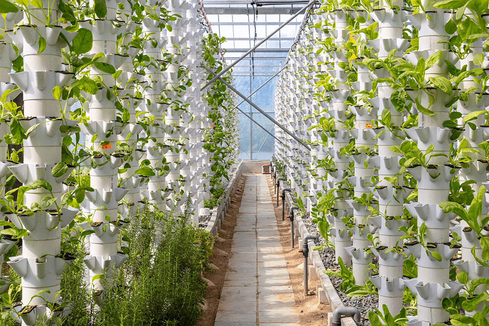 What are the types of vertical farming systems?